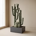 Potted Cactus Plant In Gray Square Pot With Tall Columnar And Round Cacti By Window
