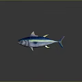 Blue Tuna With Green Iridescent Body Shiny Blue Scales Yellow Pink Fins And Open Mouth