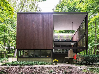 Dark Brown Wooden Detached House Surrounded by Lush Green Trees and Open Design 3d model