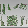 Various Decorative Vines With Green Leaves And Pink Flowers In Climbing Designs