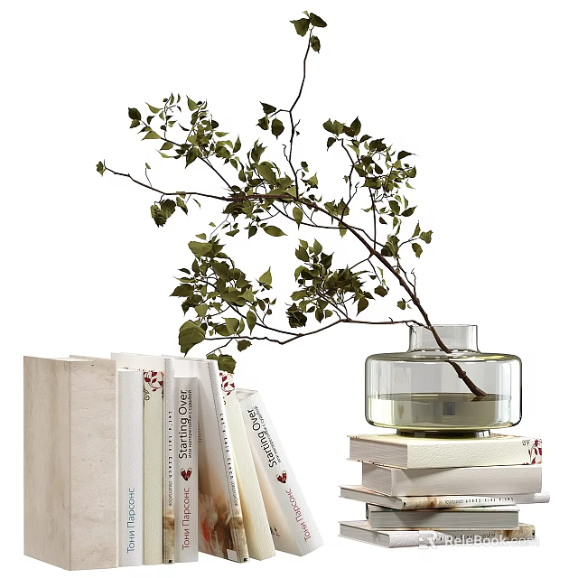 Elegant Decorative Ornament Set With Transparent Vase Branch Leaves And Stacked Books 3d model 
