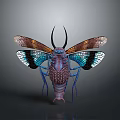 Vibrant Insect with Colorful Shiny Wings Horned Antennae and Net Like Body on Gray Background