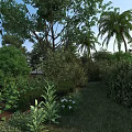 Diverse Crops Growing in Lush Garden with Green Plants Trees and Grass