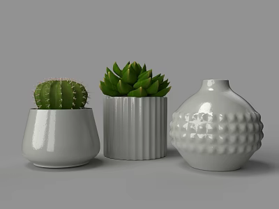 Green Cactus And Succulent Plants In White Textured Ceramic Pots For Home Decor 3d model