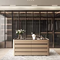 Modern Walk in Closet With Glass Wardrobe And Wooden Dresser