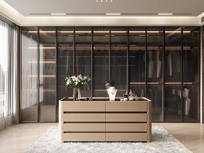 Modern Walk in Closet With Glass Wardrobe And Wooden Dresser 3d model