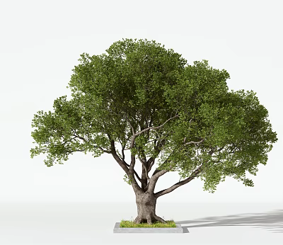 Modern Trees Trees 3d model