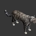 Wildlife Snow Leopard Standing Gracefully With Spotted Coat In Natural Mountain Habitat