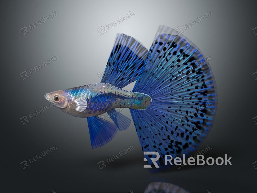 Modern Fish Guppy Blue Guppy Tropical Fish model