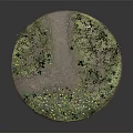 Wheat Crops in Circular Display with Pathway Yellow White Flowers and Green Grass