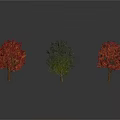Five Seasonal Trees with Red Orange White Foliage and Various Forms