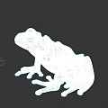 Realistic Green Frog With Black Spots And Red Eyes On Dark Background