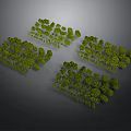 3D Scene Components With Green Tree Models Arranged in Multiple Groups