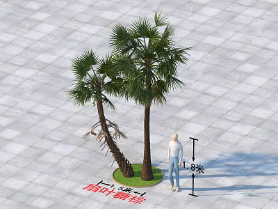 Commercial Equipment for Measuring Palm Tree Height with 8 Meters Scale and Person 3d model