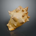 Natural Stone And Wooden Decorative Piece With Textured Surface And Crafted Details
