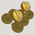 Fresh Durian Fruits With Whole And Cut Open Ones Showing Yellow Flesh