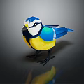 Colorful Flying Bird With Blue Yellow White Feathers Standing On Dark Background