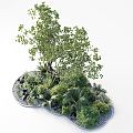 Modern Plant Plant Landscape Plant Green Plant Tree Pond Landscape Stone Flower Pond Courtyard Landscape 3d model