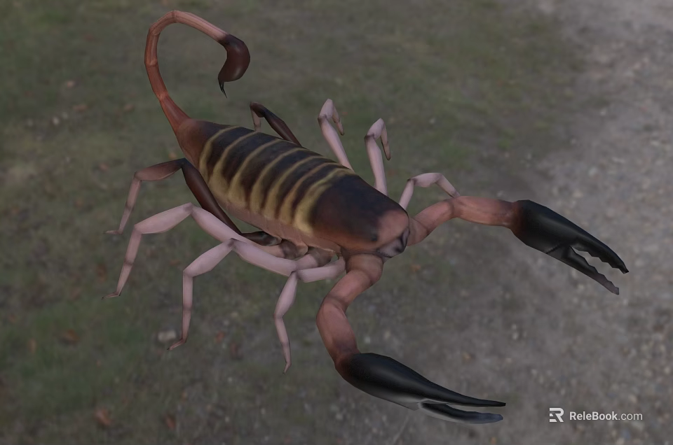 Scorpion Reptile With Brown And Yellow Striped Body Large Black Claws Curved Tail In Grassland 3d model 