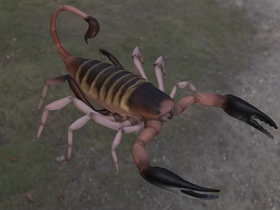 Scorpion Reptile With Brown And Yellow Striped Body Large Black Claws Curved Tail In Grassland 3d model