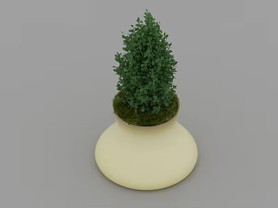 Lush Green Bonsai Plant in White Round Base Pot with Fresh Moss 3d model