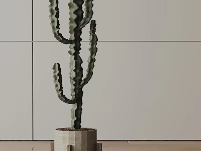 Cactus Bonsai Plant in Square Concrete Pot with Light Colored Wall and Wooden Floor 3d model