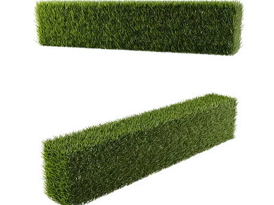 Green Lush Trimmed Hedge Shrubs With Neat Shape For Garden Landscape Design 3d model