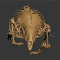 Golden Mouse Skeleton Display With Detailed Structure On Black Background And Reflection
