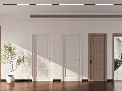 Modern Flat Door Wooden Door Simple 3d model