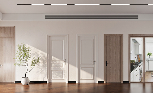 Modern Flat Door Wooden Door Simple 3d model