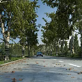 Scenic Municipal Road Lined with Trees Fallen Leaves and Distant Car Under Blue Sky