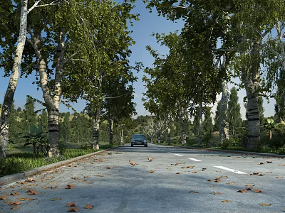 Scenic Municipal Road Lined with Trees Fallen Leaves and Distant Car Under Blue Sky 3d model