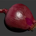 Vibrant Red Onion With Fresh Purple Skin For Healthy Cooking Recipes