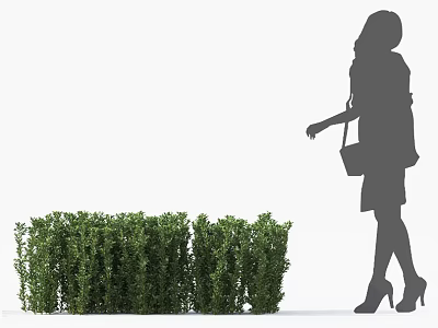 Lush Green Bushes With A Silhouette Of A Woman Standing Next To Them 3d model