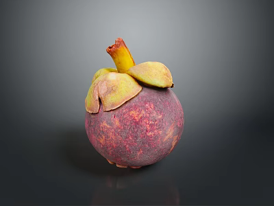 Fresh Ripe Mangosteen With Purple Red Skin And Green Leaves On Top 3d model