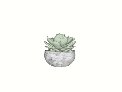Bonsai Potted Succulent Plant In Marble Textured Pot For Indoor Decor 3d model