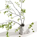White Ceramic Vases With Green Leafy Branches And Foliage On Shelves