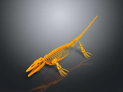Detailed 3D Yellow Aquatic Dinosaur Skeleton Model With Long Tail And Fins 3d model
