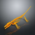 Detailed 3D Yellow Aquatic Dinosaur Skeleton Model With Long Tail And Fins