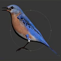 Vibrant Blue Bird With Spread Wings Perched On Reflective Surface