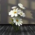 Floral Display With White Daisies In Vase On Dark Wooden Tabletop With Light Shadow Effects