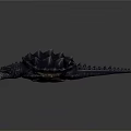 Modern Turtle Snapping Turtle Cartoon Tortoise Chickbill Turtle 3d model