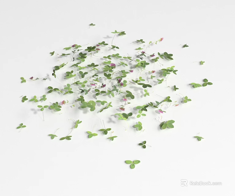 Natural Groundcover Plants With Green Leaves And Small Pink Flowers 3d model 