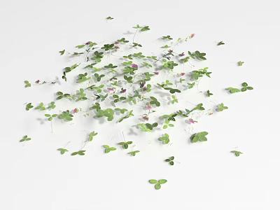 Natural Groundcover Plants With Green Leaves And Small Pink Flowers 3d model