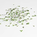 Natural Groundcover Plants With Green Leaves And Small Pink Flowers
