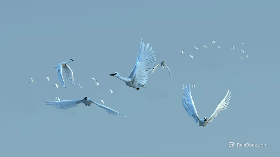 White Flying Birds Soaring In Clear Blue Sky With Outstretched Wings 3d model 