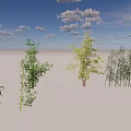 Different Bamboo Varieties With Green Leaves Under Blue Sky And Clouds 3d model