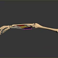 Detailed Human Arm Skeleton With Muscles And Colored Tendons Anatomical Model