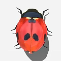 Detailed Vibrant Red and Black Ladybug with Sheath Wings and Black Body