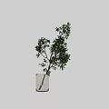 Elegant Decorative Ornament Set With White Vase And Lush Green Leafy Plant